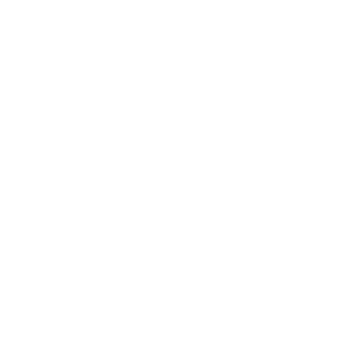 Affordable Icon