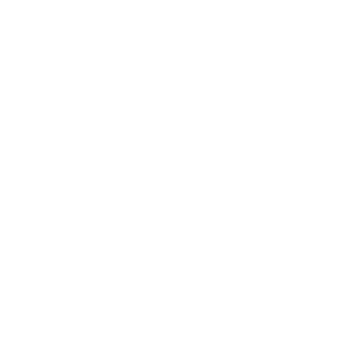 Straightening Icon